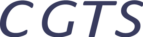 CGTS CORP
